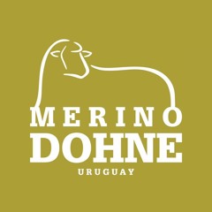 Alberto Capurro - Merino Donhe