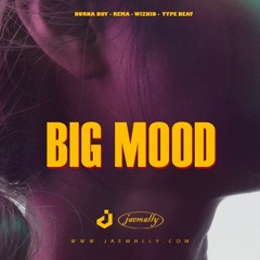 Ayra Starr & Ruger / Afrobeat Type Beat - "BIG MOOD"