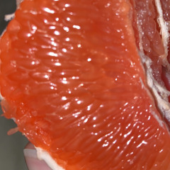 Nothing Brings Me Back