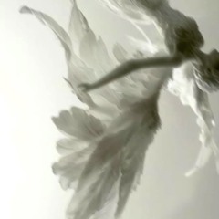 sangria®︎ (prod. oneeighty2 + tainiykick)