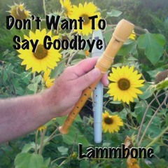 Don't Want To Say Goodbye