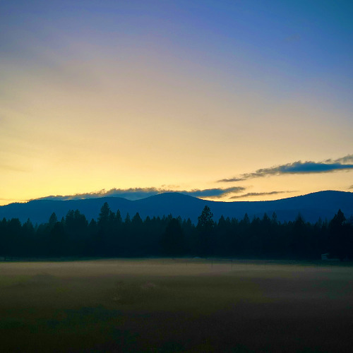 Project_11 (without vocal)