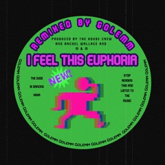 I Feel This Way X Euphoria ( Golemm Remix )