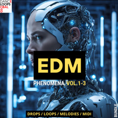 EDM Phenomena Bundle Vol.1-3 Preview