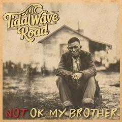 Tidalwave Road Bluegrass Band - "Not Ok, My Brother"