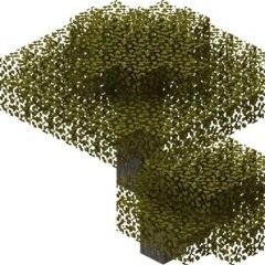 smokin on acacia prod rosa