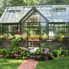 Houseplants - January 2021