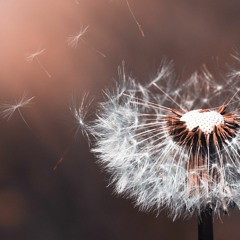 Mṛtyuñjaya Mantra (11 repeticiones)