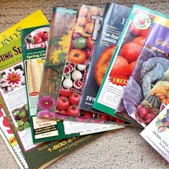 Seed Catalogs_ So Many Choices_ Which is Best