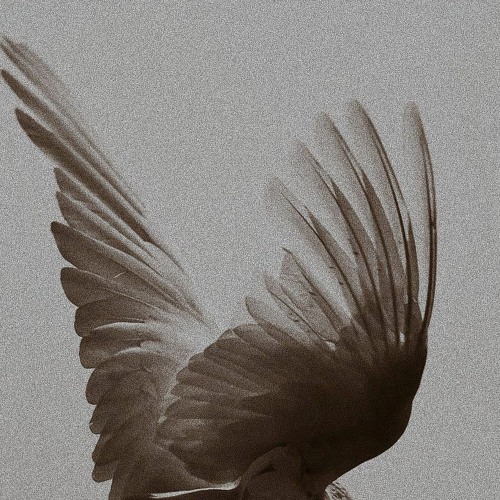 ALI3N ft Dryson_For those who fly🕊️.mp3