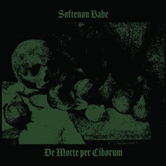 SOFTENON BABE- Ignis - Sacer