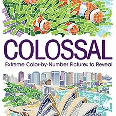 READ PDF 🖌️ Color Quest: Colossal: An Adult Activity Book by  Daniela Geremia,Joanna