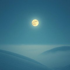 Night Beautiful Night