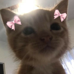 The Weekend - BIBI [cover]