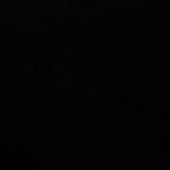 MURDER RATE FREESTYLE (PROD.EGGACION)