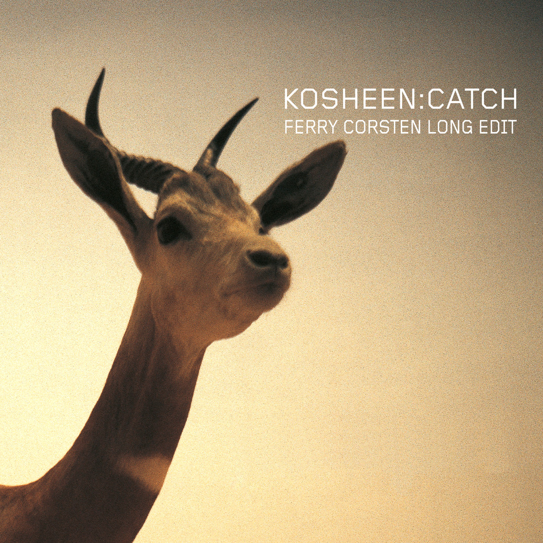 Stream Catch (Ferry Corsten Long Edit) by Kosheen | Listen online