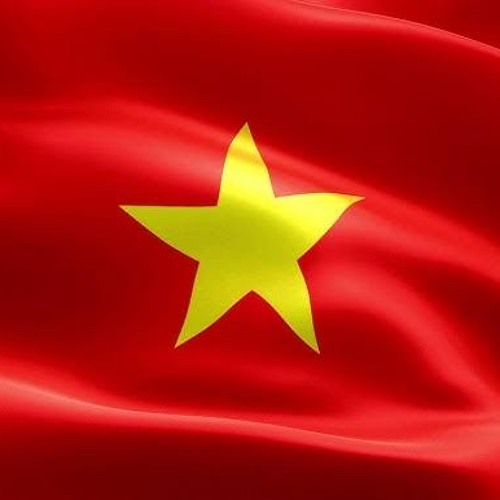 Việt Nam Trong Tôi