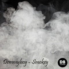 Demmyboy - Endless Summer (Original Mix)