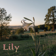 Lily