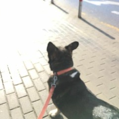 Spingsulė w/ SHN & Moving Stories @ Radio Vilnius December 1, 2021