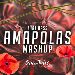 THAT BASS AMAPOLAS MASHUP