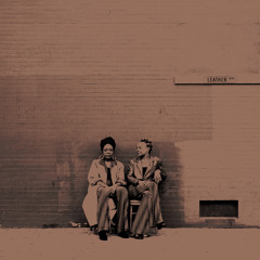 fools _ LSA (feat. Big Rube, V. C. R, Ladybug Mecca, Butcher Brown & DJ Harrison)