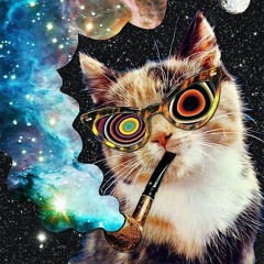 High Cat