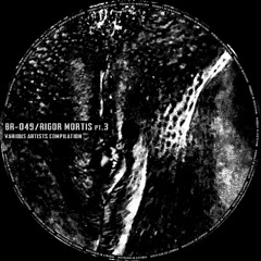 [BR-049] Les Anges Morts - Future in Chains (No Hope remix)