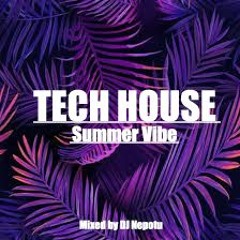 Funky House & Tech House 🌴Summer Vibe🌴 [ Mixed by DJ Nepotu ]