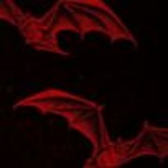 REEPER (prod. by SLAYRONMADETHIS)