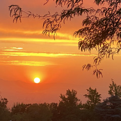 The Sun