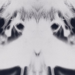 darkne$$ Is Light