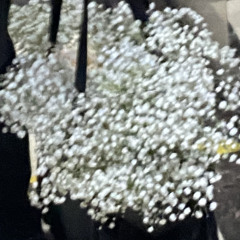 Dan jika (interlude)