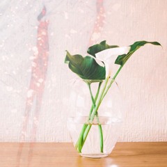 Still Life (Live Mix)