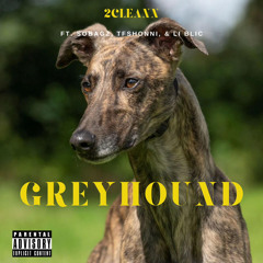 Grey Hound feat. SoBagz, TFShonni, & Li Blic (prod. Peytonthealien)