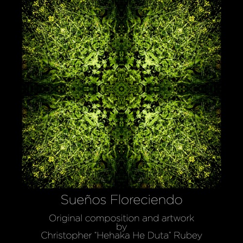 Sueños Floreciendo (Original Version 2020)