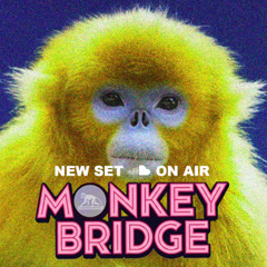 Monkey Bridge @ Homie  19 07 2025  (part 01 - 03 hours)