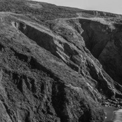 Trope composition in Xylella