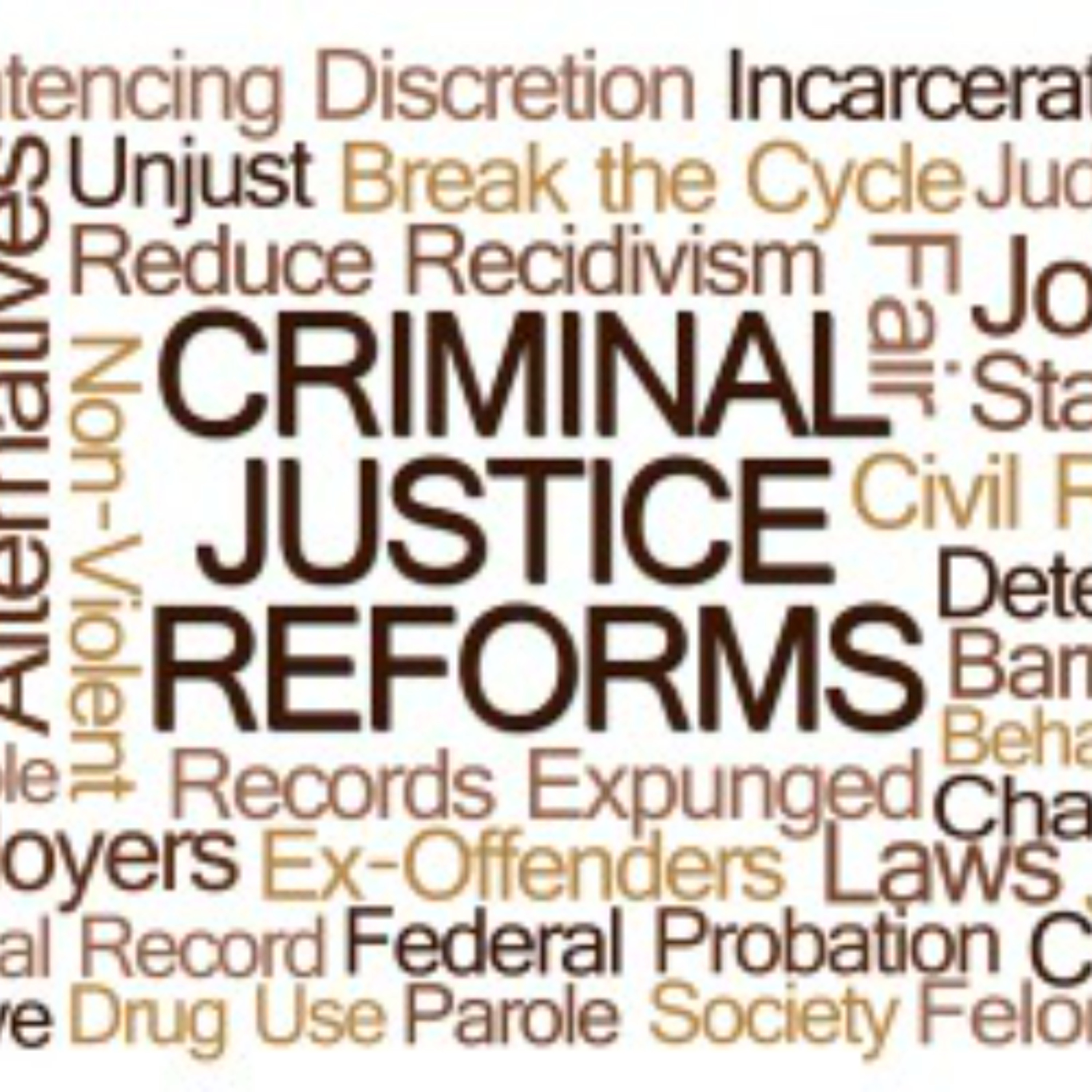 NYS Budget Hearing on Public Protection Focuses on ICE, Racism in Prisons episode artwork