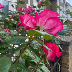 for lovers it's always springtime