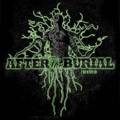 After The Burial - Behold The Crown [Guitar cover]