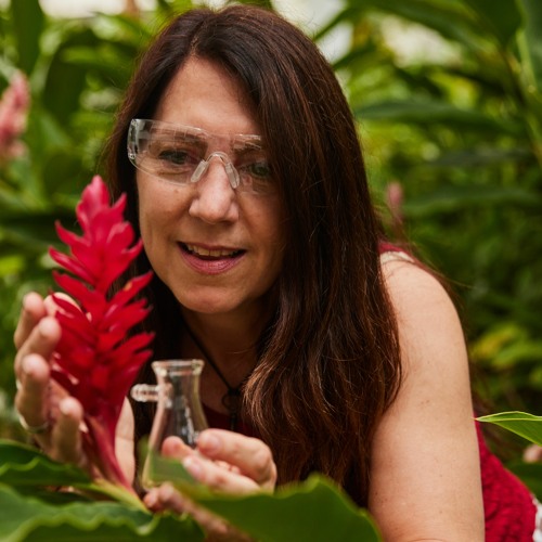 3 Keystones for Success in Science