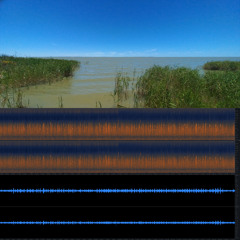 2025.12.17 Reed Warbler by Lake Alexandrina. Tolderol. Windy Summer Afternoon.