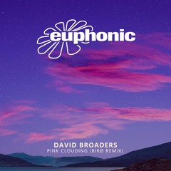 David Broaders - Pink Clouding (Birø Remix) [Euphonic]