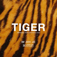 (FREE) Afrobeat Instrumental 2022 | Wizkid x Rema x Burna Boy Type Beat "Tiger" | Afrobeat Type Beat