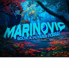 MTG - SNOWFALL DE MALANDRO / REMIX TIKTOK (DJ MARINOVIC)