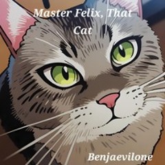 Master Felix, That Cat
