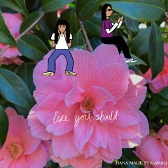 Like You Should ft Kamali