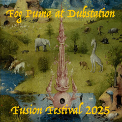 Fog Puma at Dubstation - Fusion Festival 2025
