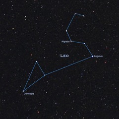 5/12/25 - Leo the Lion